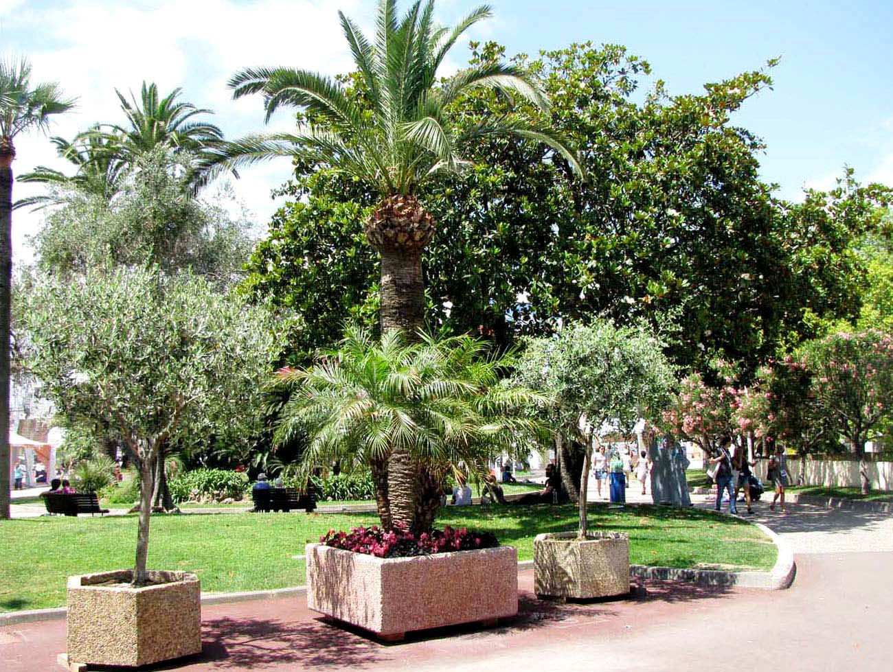 Канны, image of landscape/habitat.
