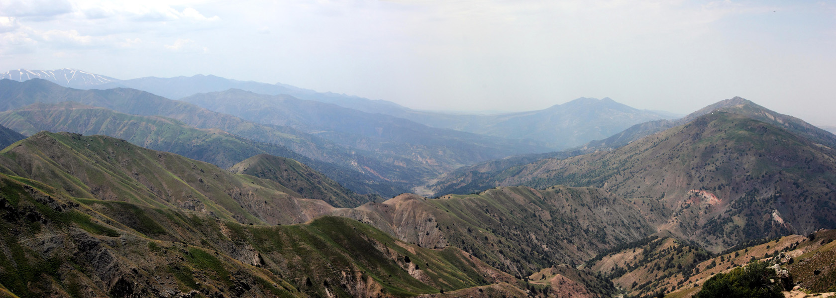 Западный гребень Бол. Чимгана, image of landscape/habitat.