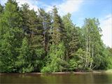 Озеро Судачье, image of landscape/habitat.