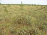 Image of landscape