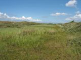 Схирмонниког (Schiermonnikoog), image of landscape/habitat.