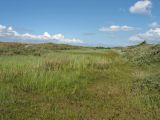 Схирмонниког (Schiermonnikoog), изображение ландшафта.