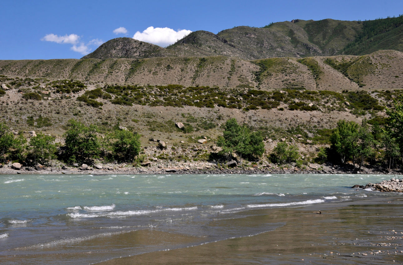 Устье реки Большой Яломан, изображение ландшафта.