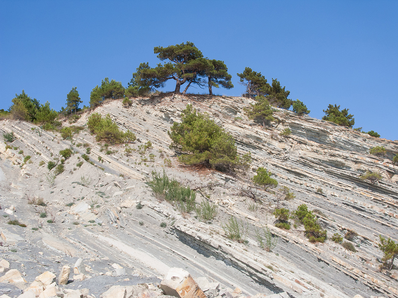 Дооб, image of landscape/habitat.