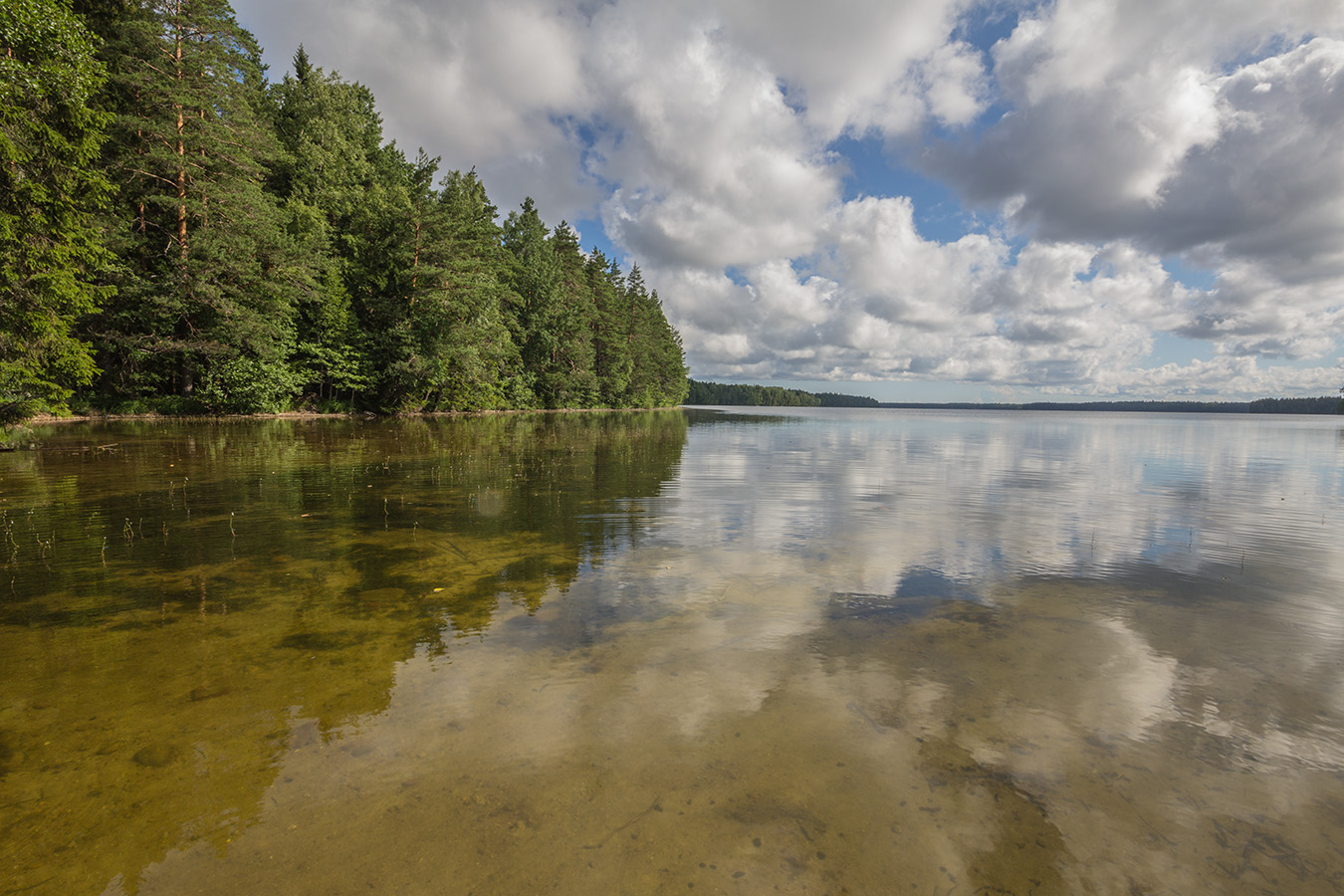 Озеро Белое, image of landscape/habitat.