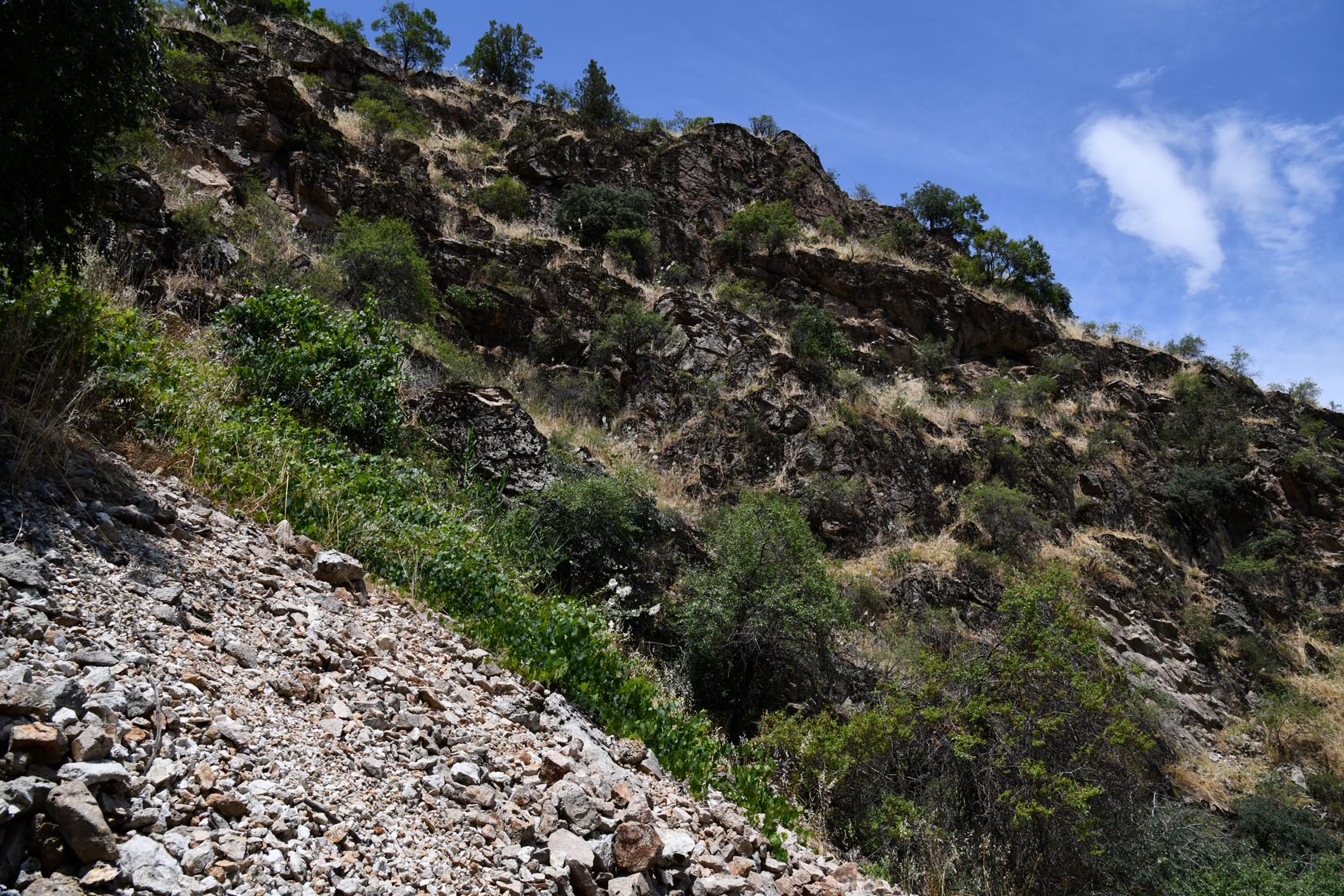 Кондара, image of landscape/habitat.