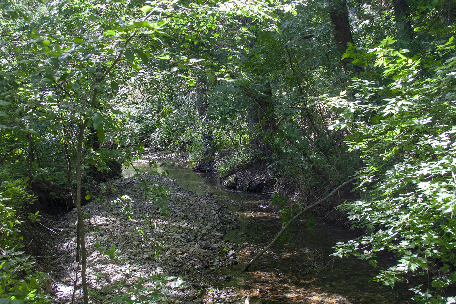 Балка Щербаковская, image of landscape/habitat.