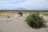 Image of landscape