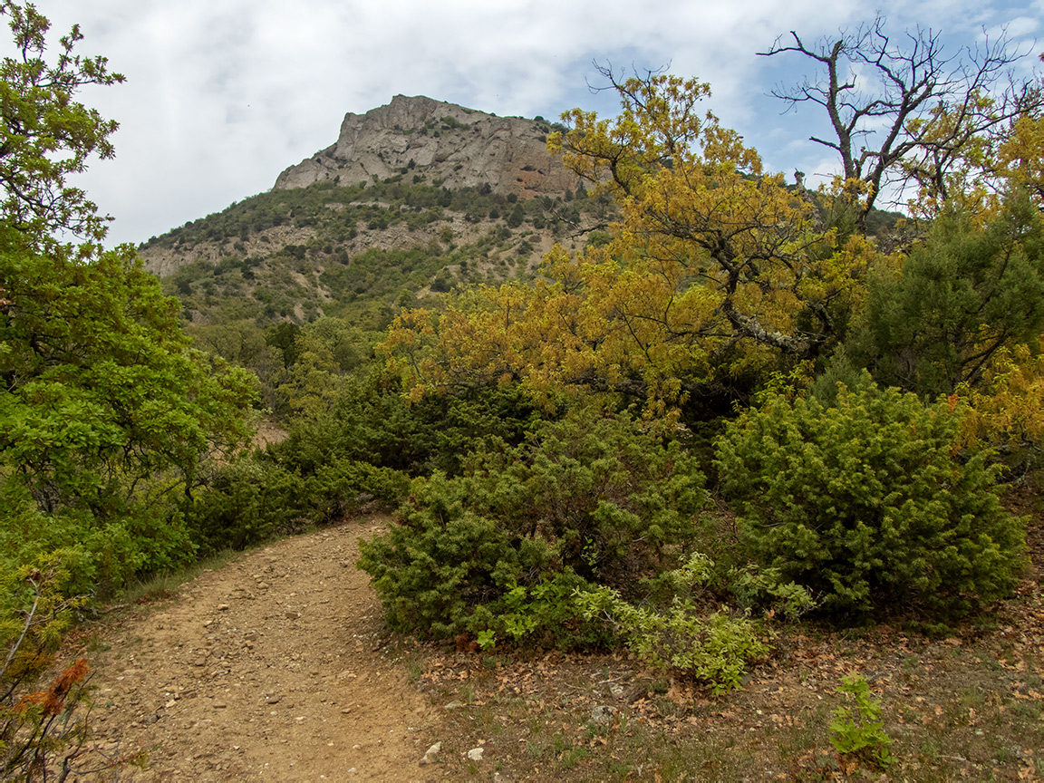 Хребет Токлук-Сырт, image of landscape/habitat.