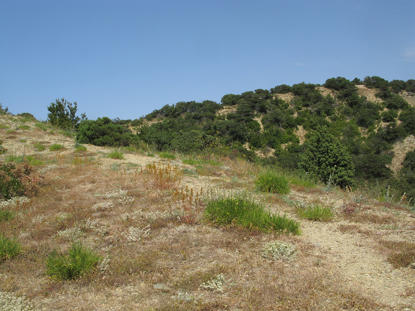 Большой Утриш, гора Солдатская, image of landscape/habitat.