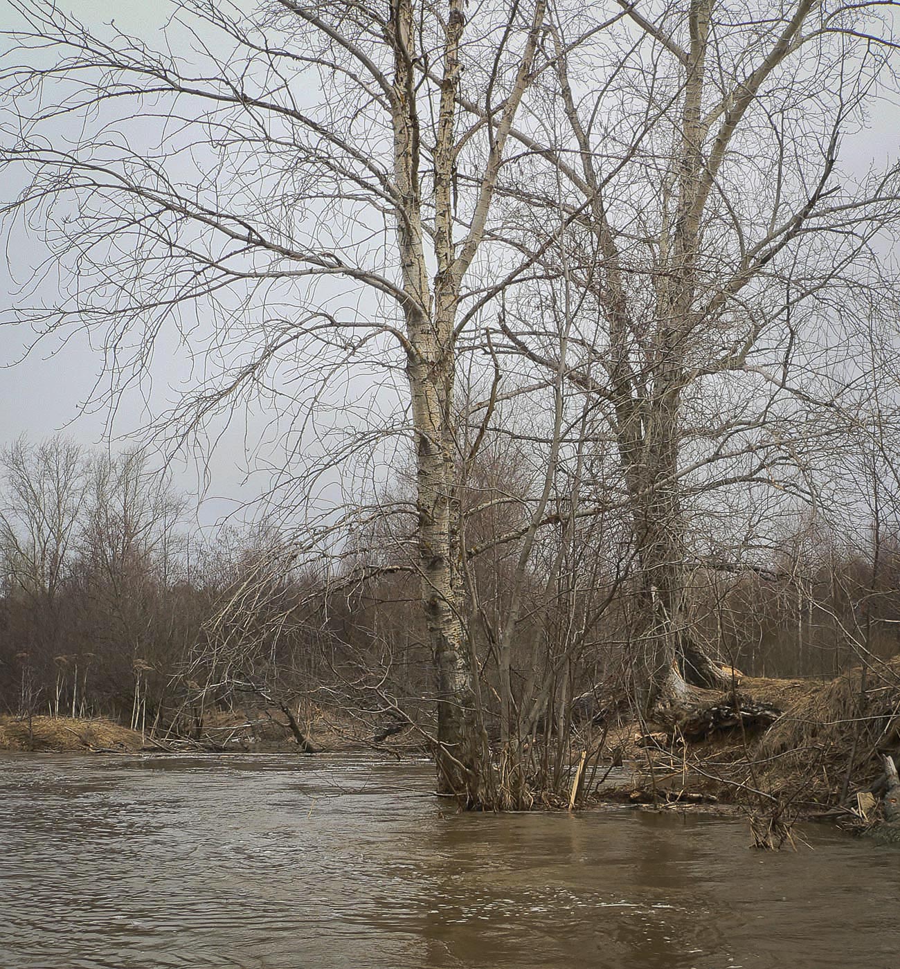 Галешник, image of landscape/habitat.