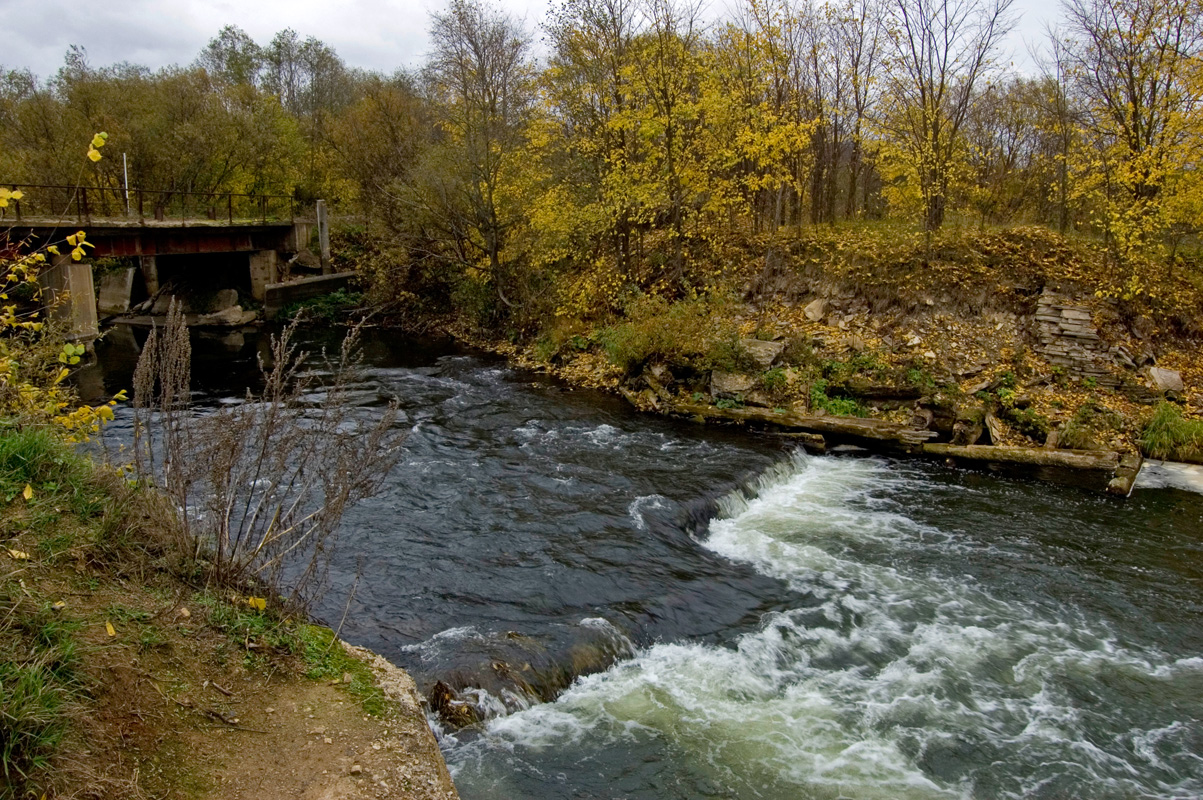 Окрестности деревни Карнаухово, image of landscape/habitat.