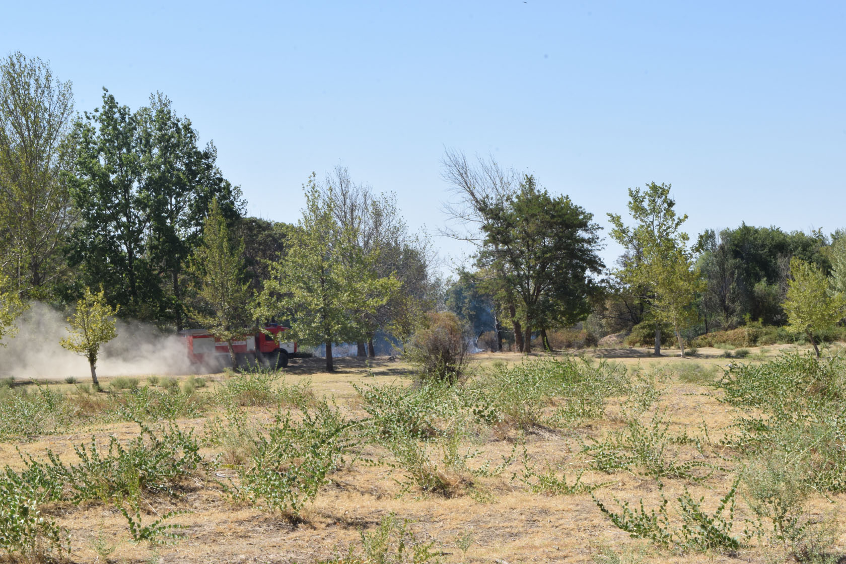 Поселок Улугбек, СЗЗ, image of landscape/habitat.