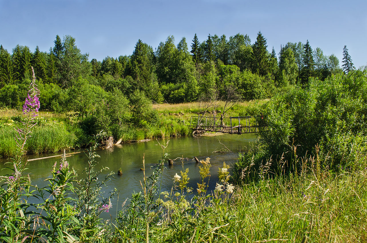 Окрестности деревни Боковая, image of landscape/habitat.