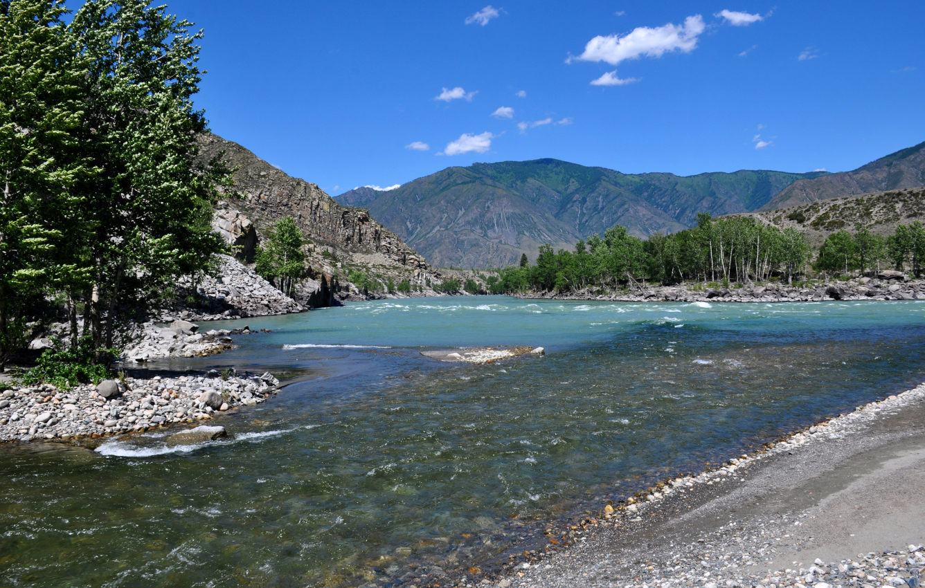 Устье реки Большой Яломан, image of landscape/habitat.