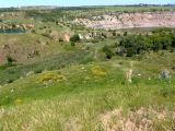 Долина Мокрой Московки, image of landscape/habitat.