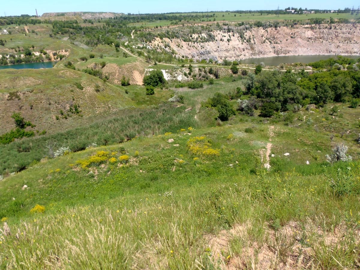Долина Мокрой Московки, image of landscape/habitat.