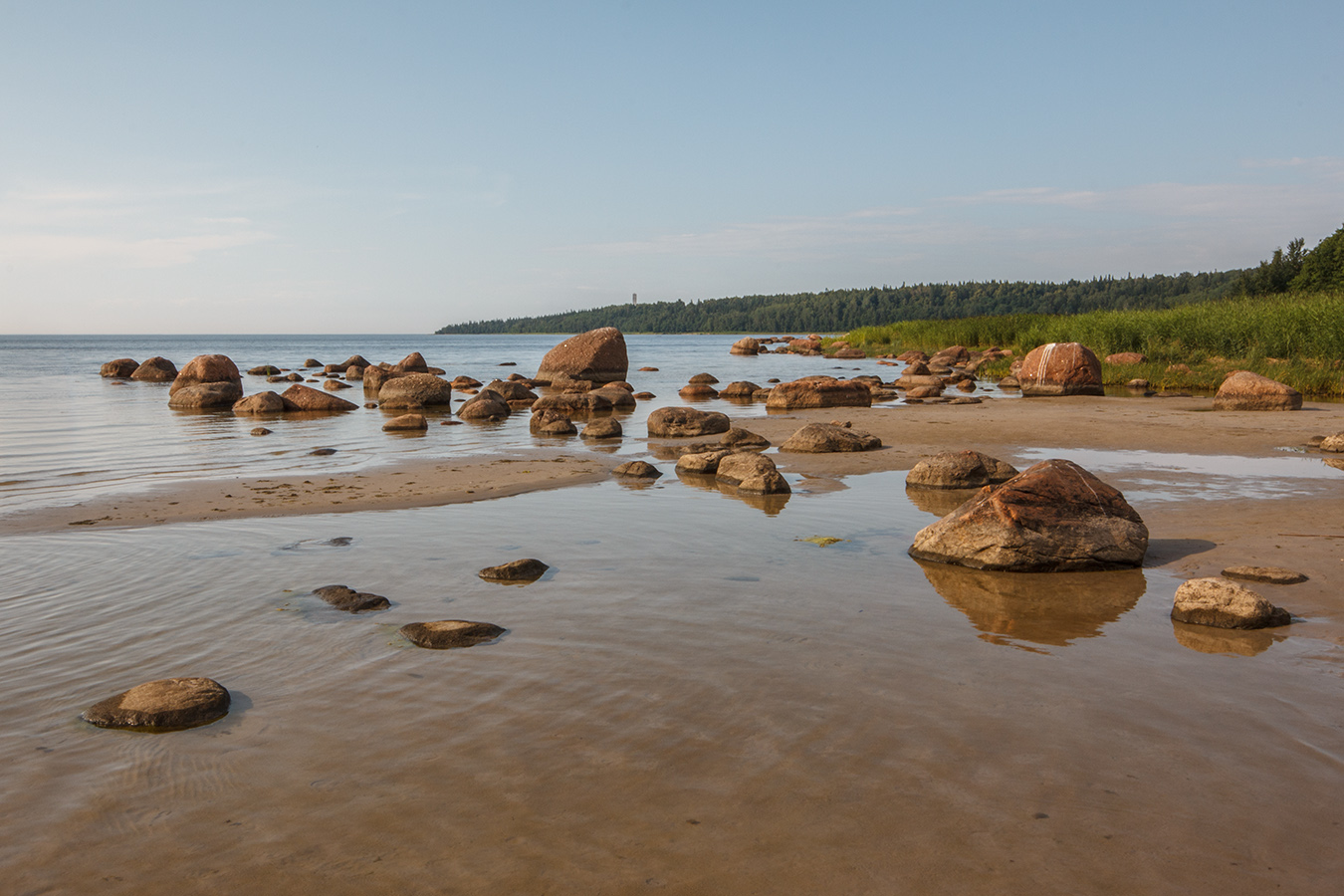 Окрестности Тисколово, image of landscape/habitat.