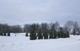 Лосино-Петровский и окрестности, image of landscape/habitat.