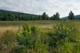 Image of landscape