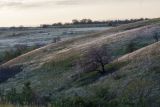 Image of landscape