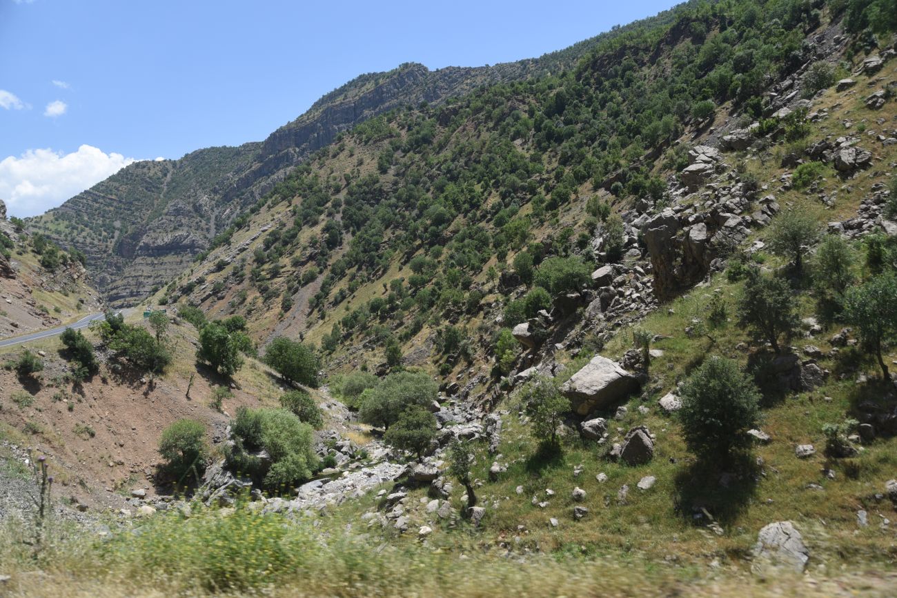 Шеноба, image of landscape/habitat.