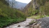 Image of landscape