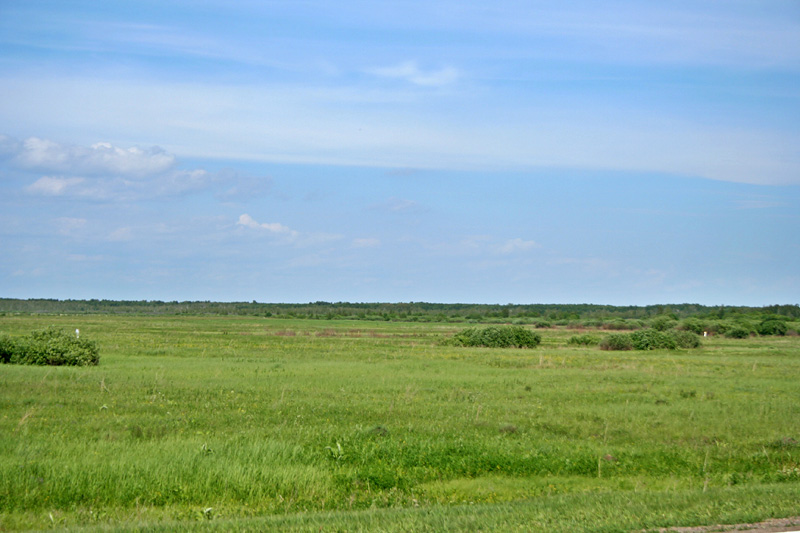 Ясачка, image of landscape/habitat.