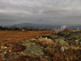 Image of landscape