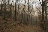 Image of landscape