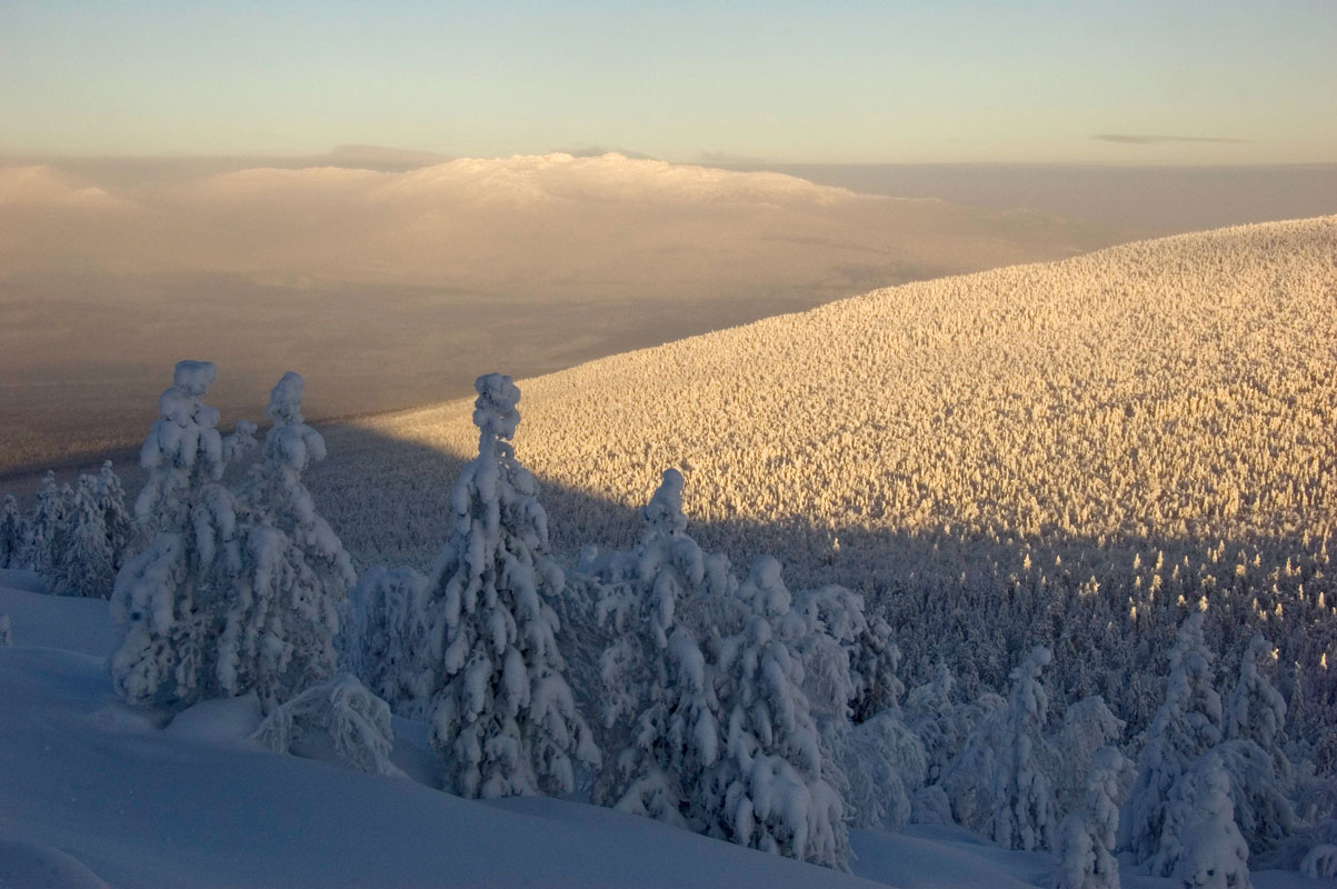 Окрестности поселка Кытлым, image of landscape/habitat.