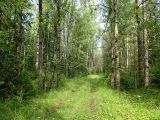Image of landscape