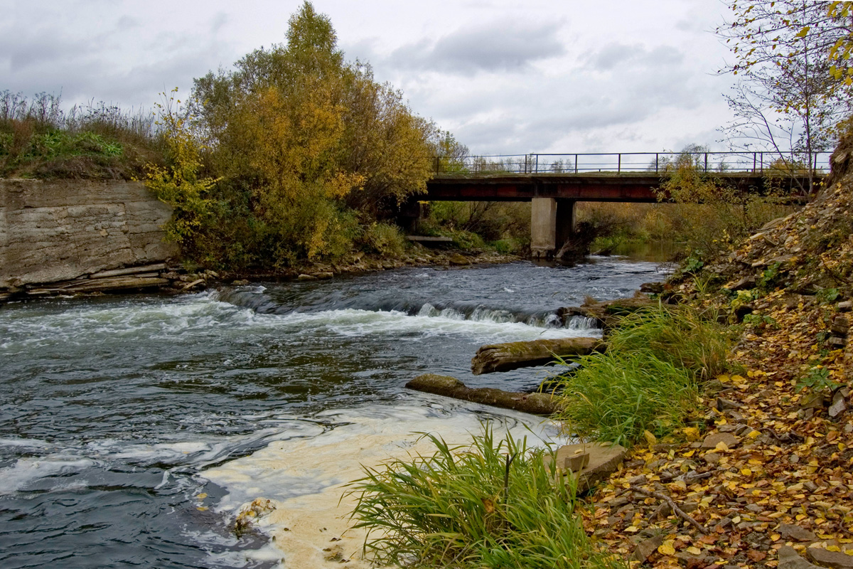 Окрестности деревни Карнаухово, image of landscape/habitat.