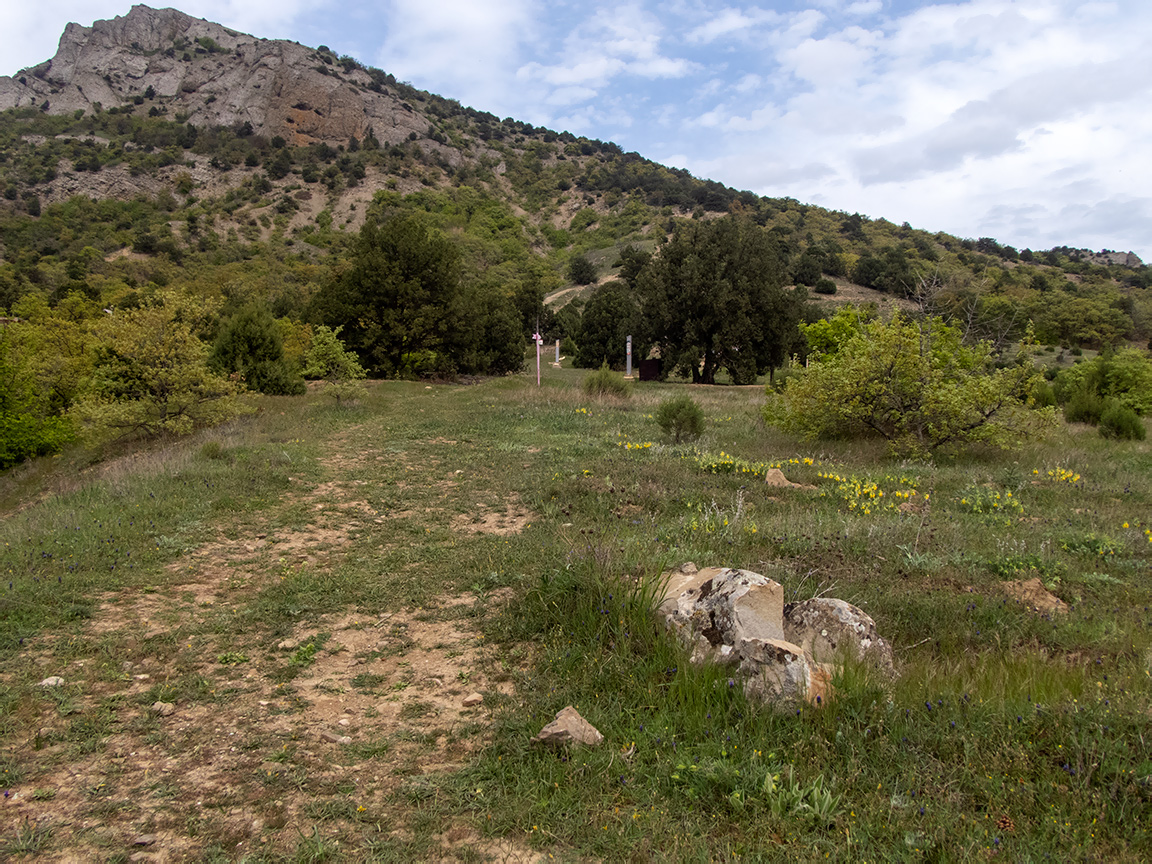 Хребет Токлук-Сырт, image of landscape/habitat.