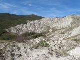 Изображение ландшафта
