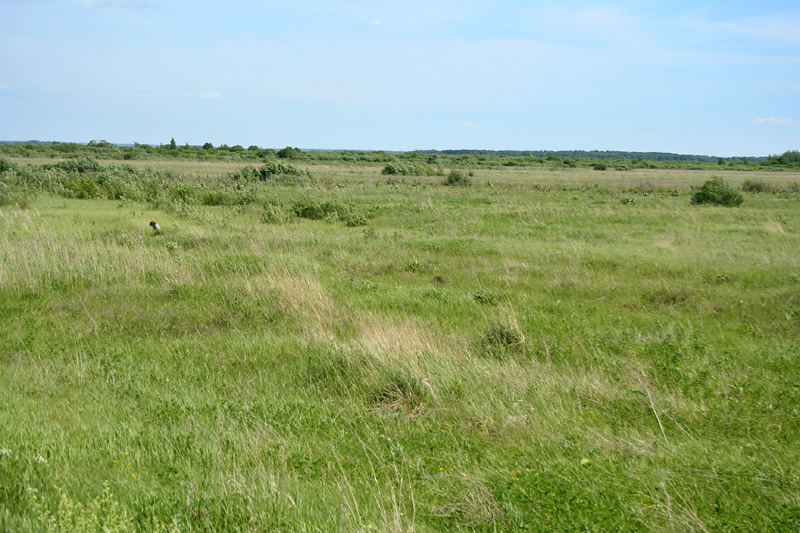 Ясачка, image of landscape/habitat.