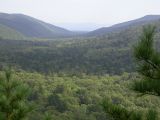 Landscape image