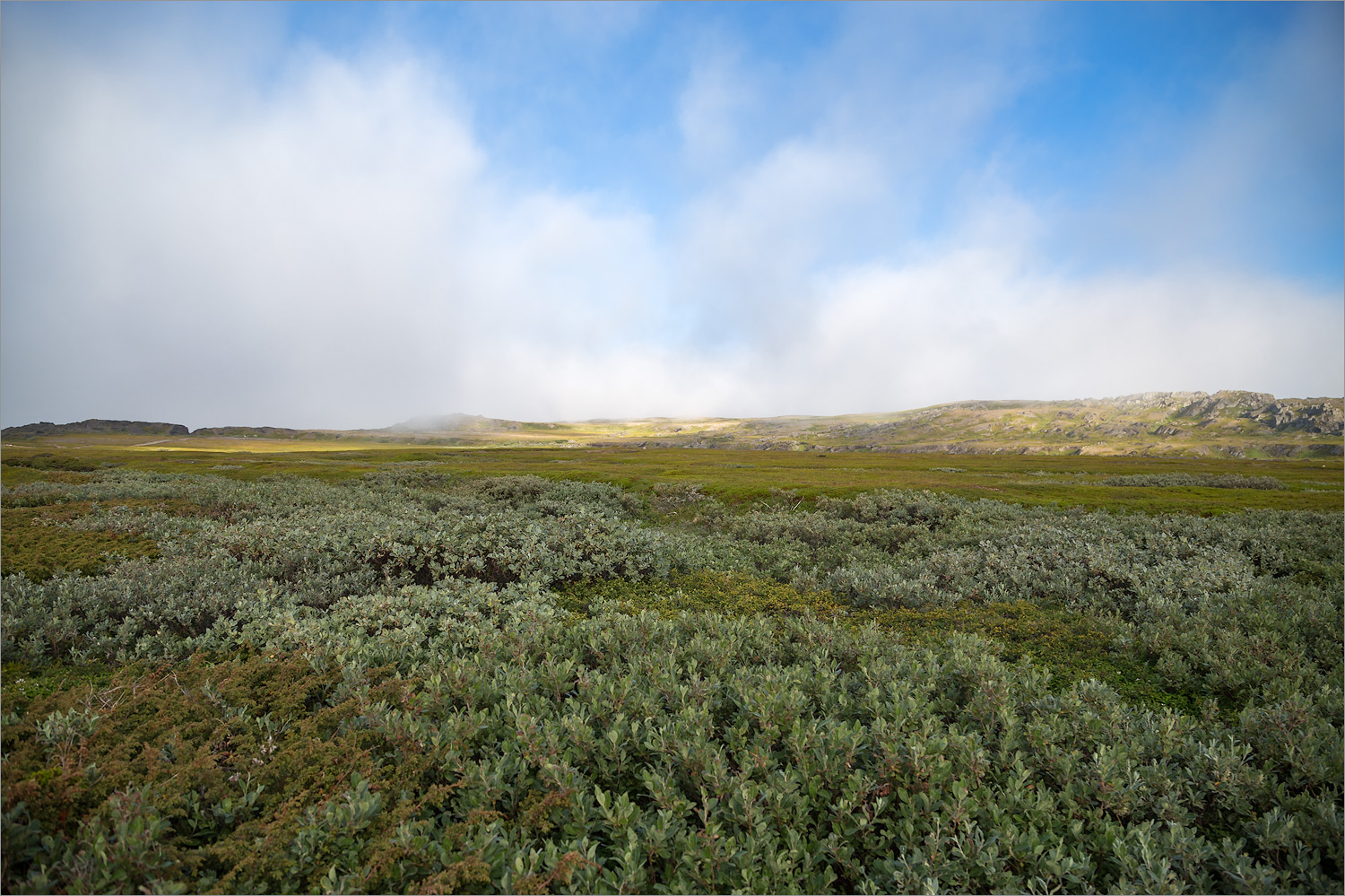 Скорбеевка, image of landscape/habitat.