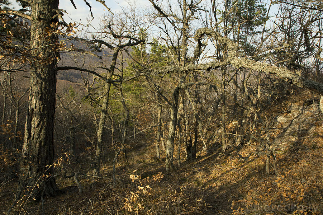 Урочище Парагильмен, изображение ландшафта.