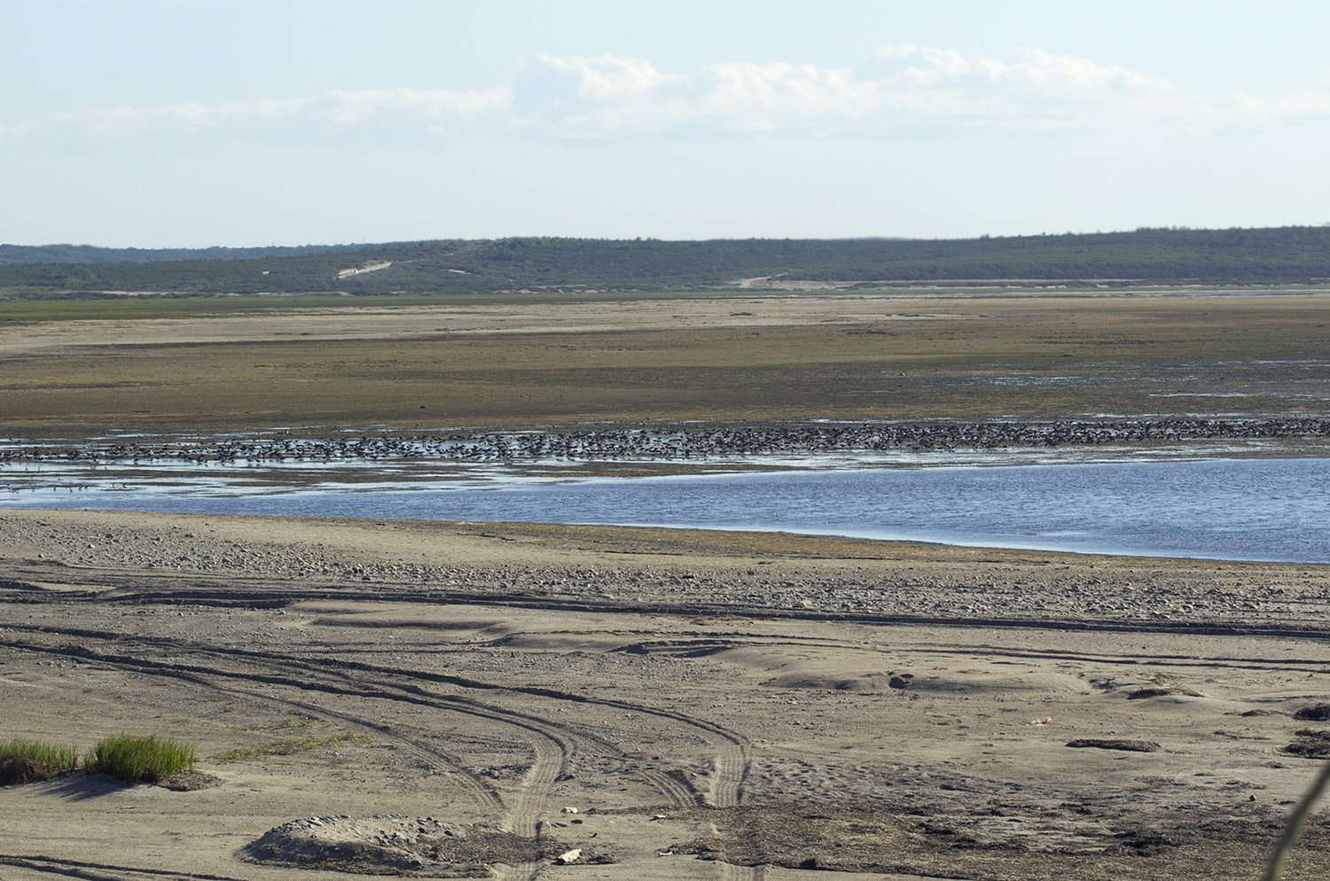 Хангуза, image of landscape/habitat.