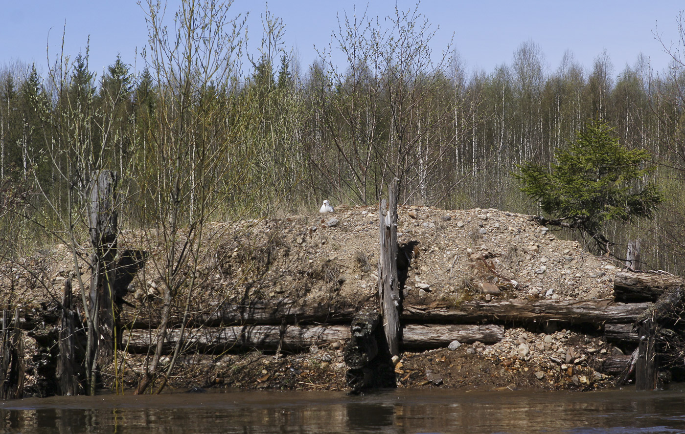 Ветлан, image of landscape/habitat.