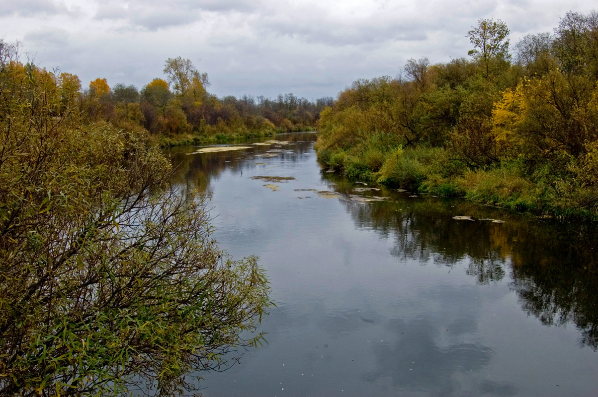 Окрестности деревни Карнаухово, image of landscape/habitat.