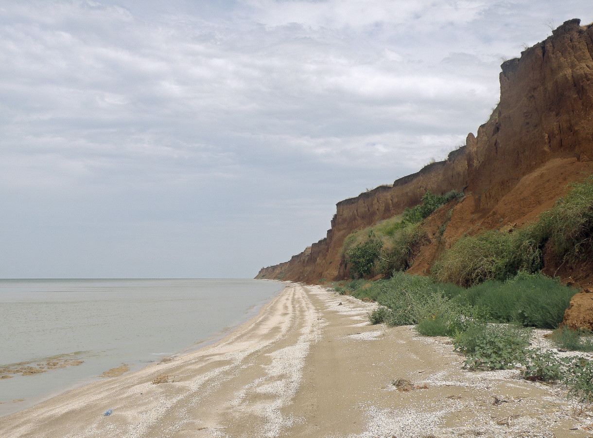 Глафировская коса, image of landscape/habitat.