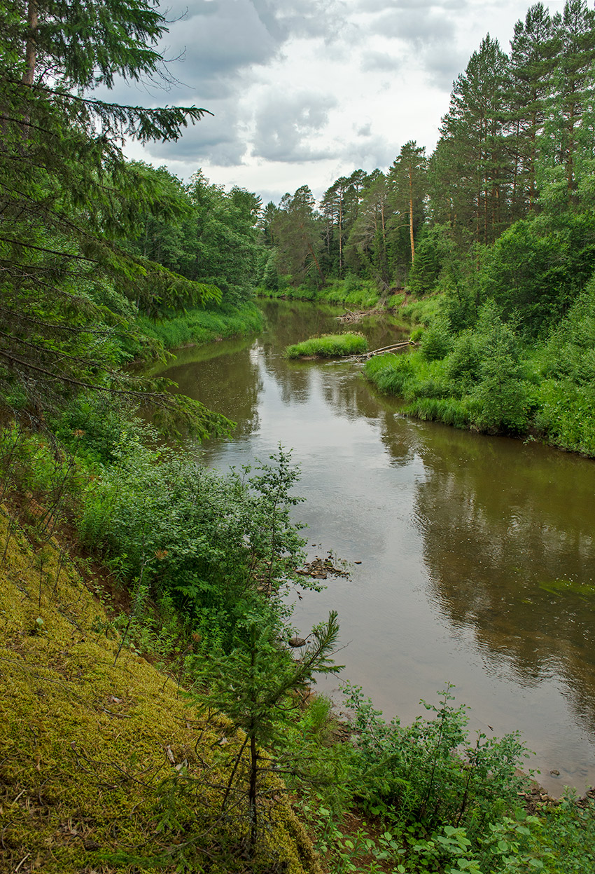 Окрестности деревни Усть-Сепыч, image of landscape/habitat.