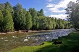 Устье реки Большой Яломан, image of landscape/habitat.