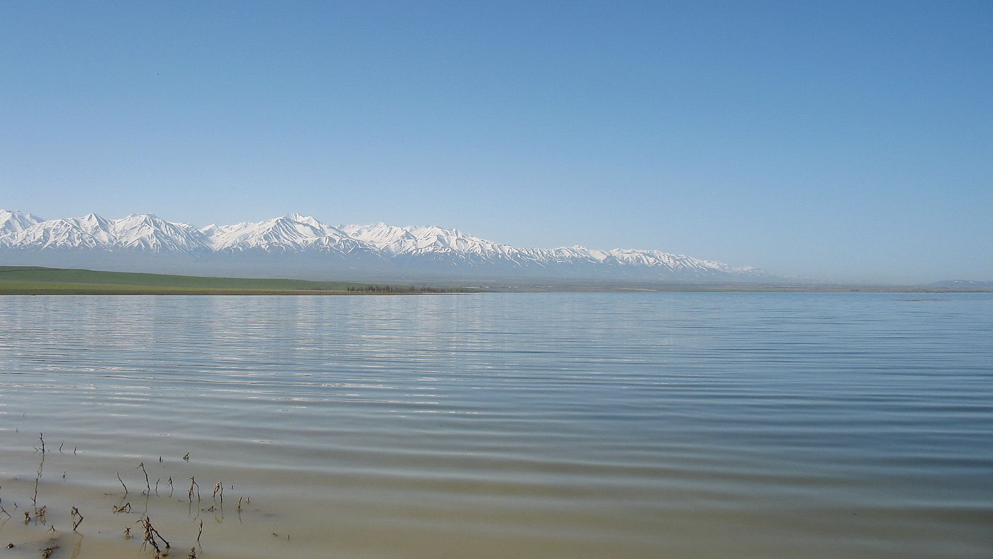 Терс-Ащибулак, image of landscape/habitat.