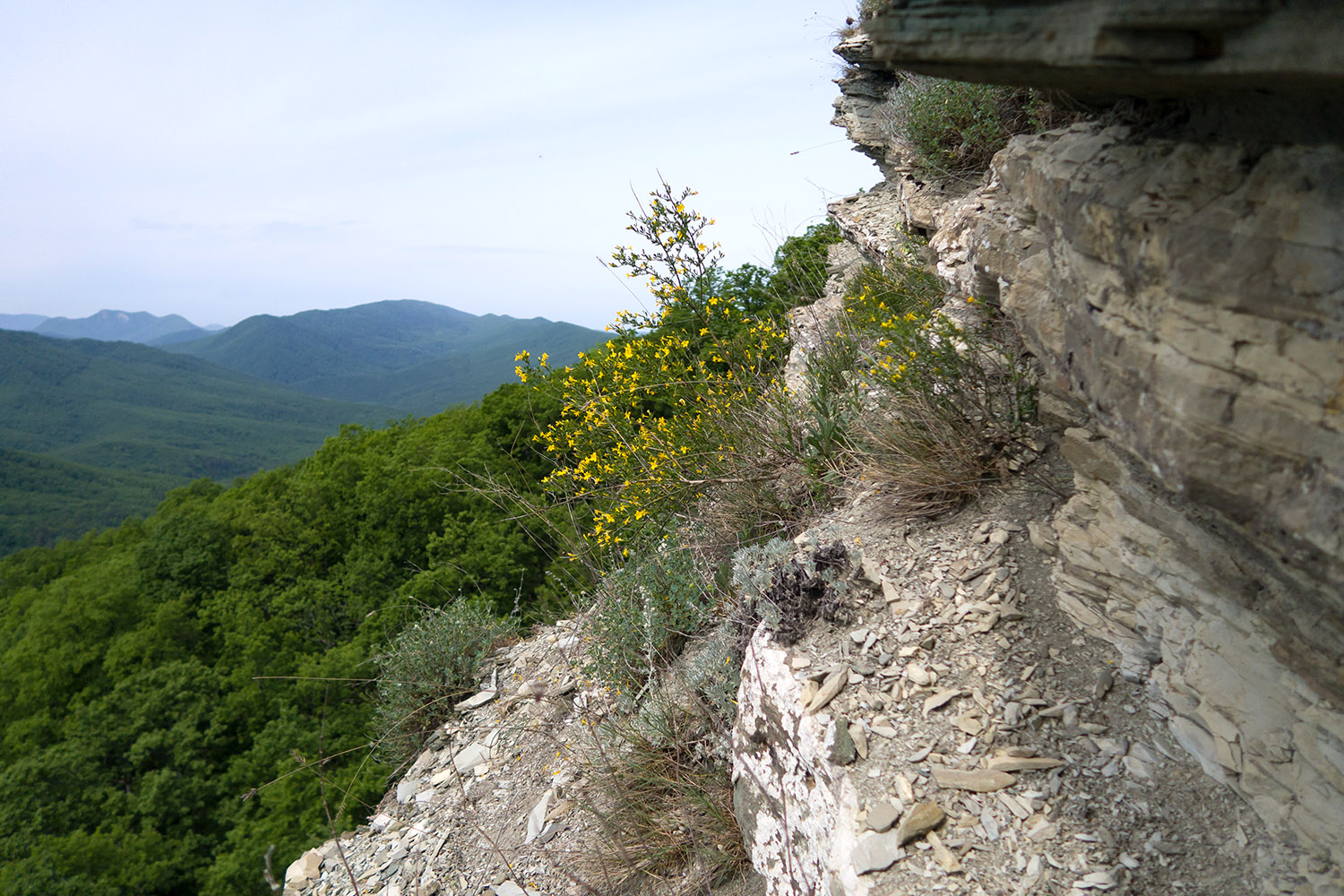 Собер-Баш, image of landscape/habitat.