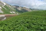 Image of landscape