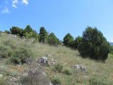 Image of landscape