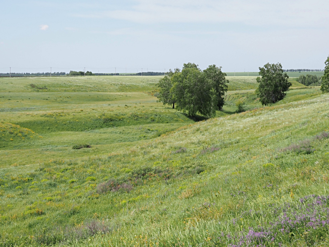 Долина реки Бирля и окрестности, image of landscape/habitat.